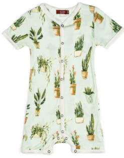 Milkbarn Shortall Potted Plants